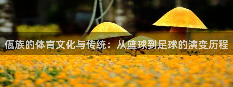 哈哈体育
