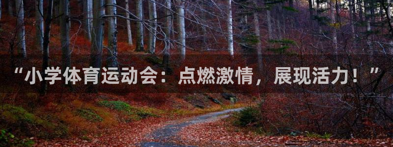 哈哈体育十年