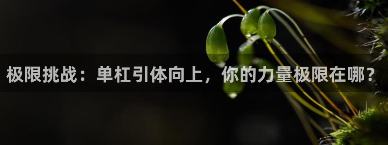 哈哈体育