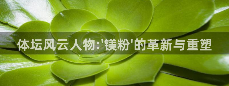 哈哈体育
