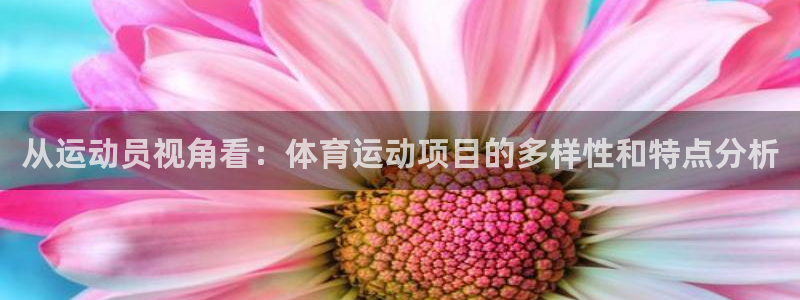 哈哈体育下载