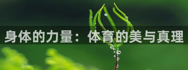 哈哈体育
