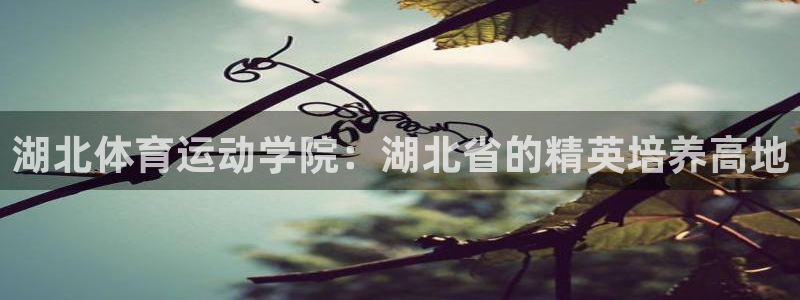 哈哈体育