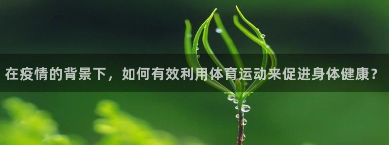 哈哈体育